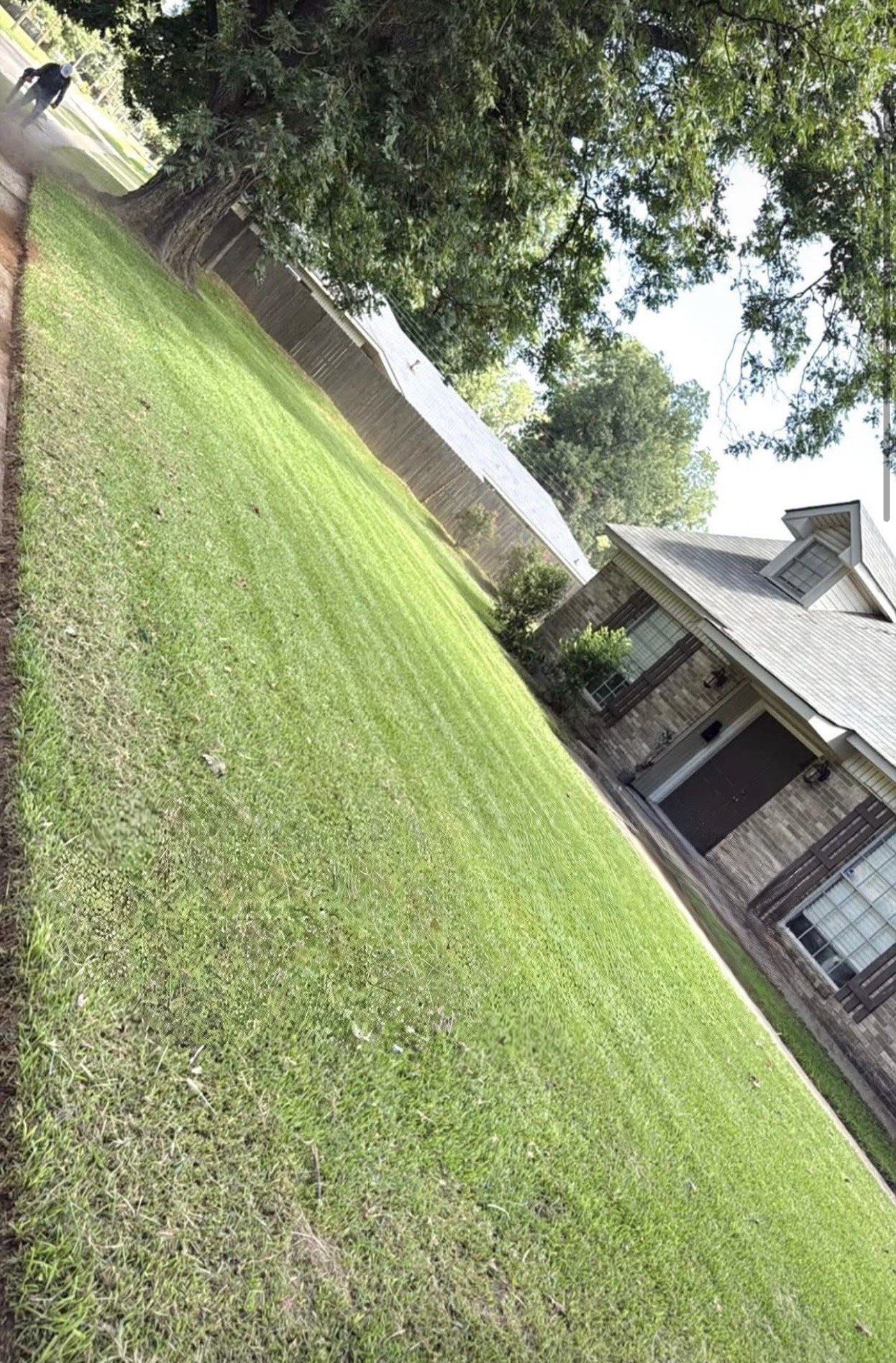 Clean stripes on lawn