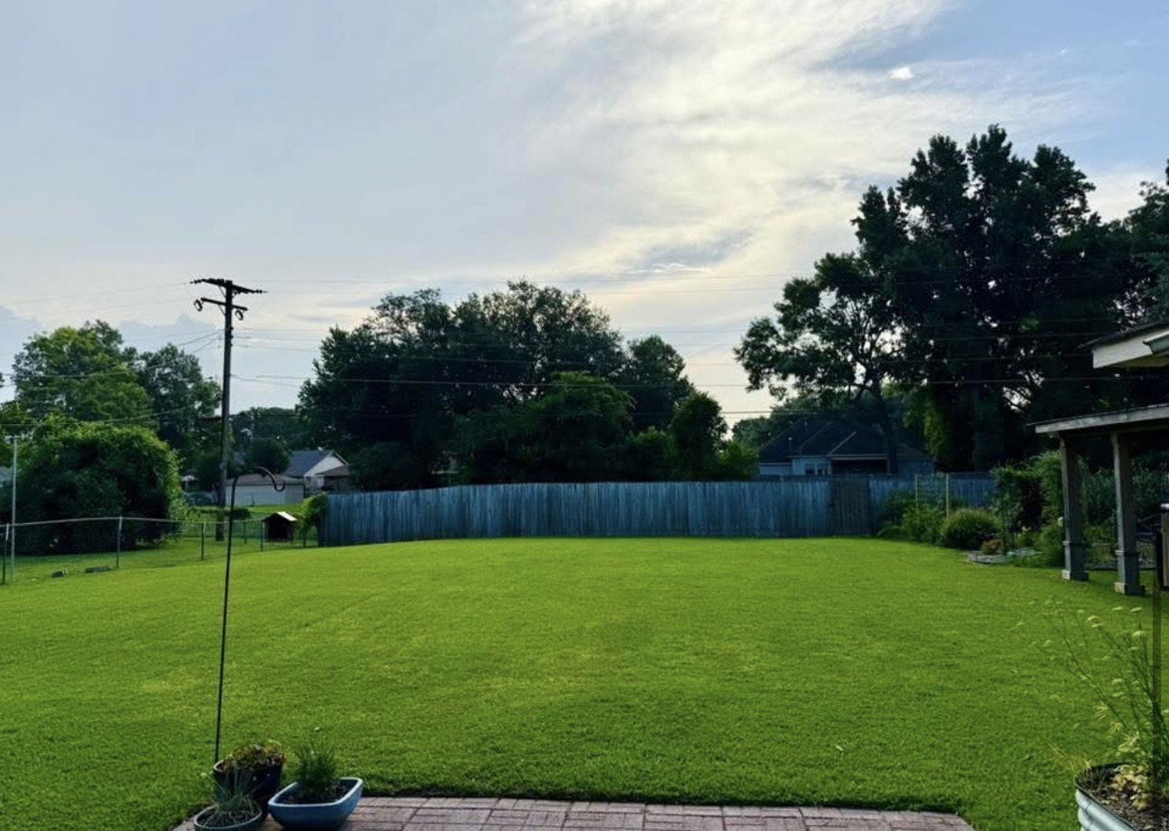 Large backyard cut